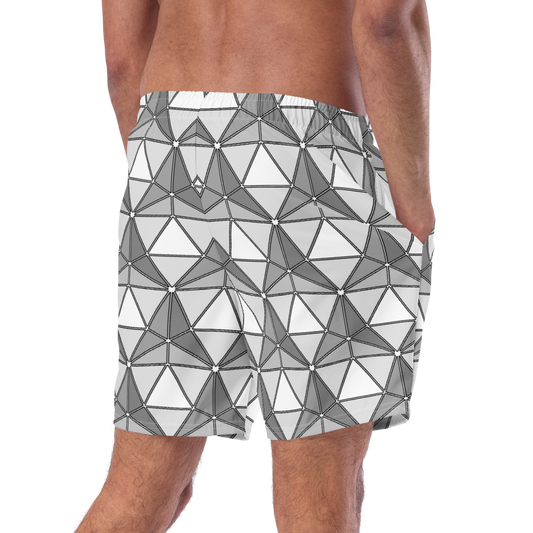 D20 Swim Trunks